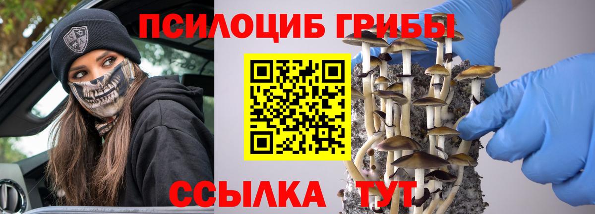 Кизляр  Галлюциногенные грибы Magic Shrooms  Вход с VPN  Псилоцибиновые грибы мицелий 